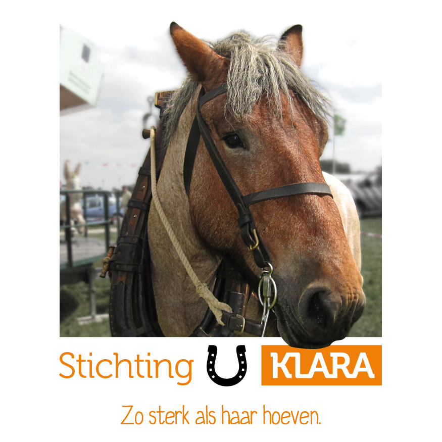 Klara, zo sterk als haar hoeven