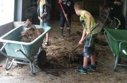 Werken in de stallen op Juutsom