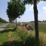hooibaaltjes persen